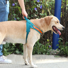 No Pull Padded Nylon and PU Leather Pet Dog Harness - PeticaDeals