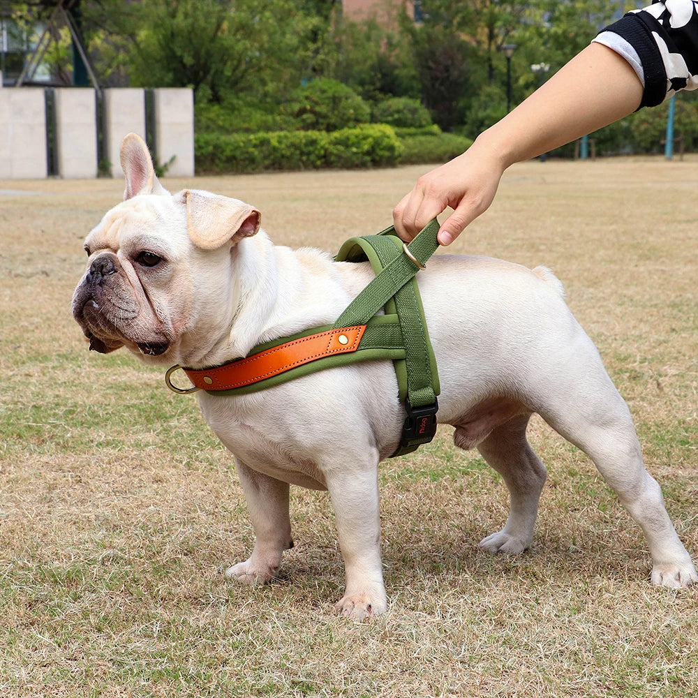 No Pull Padded Nylon and PU Leather Pet Dog Harness - PeticaDeals