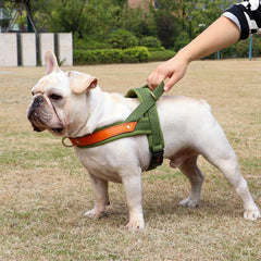 No Pull Padded Nylon and PU Leather Pet Dog Harness - PeticaDeals