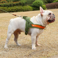 No Pull Padded Nylon and PU Leather Pet Dog Harness - PeticaDeals