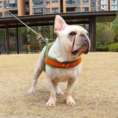 No Pull Padded Nylon and PU Leather Pet Dog Harness - PeticaDeals