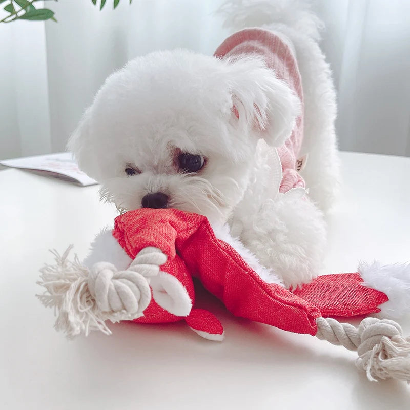 No Stuffing Squeaky Pet Toys for Small Medium Dogs - PeticaDeals
