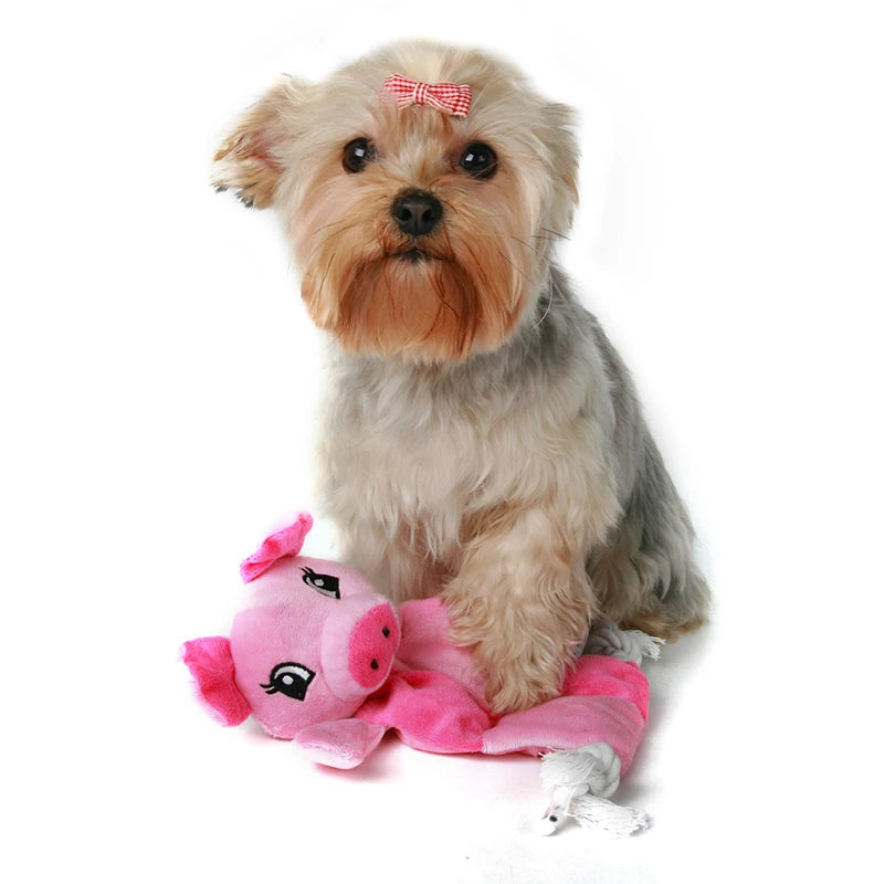 No Stuffing Squeaky Pet Toys for Small Medium Dogs - PeticaDeals