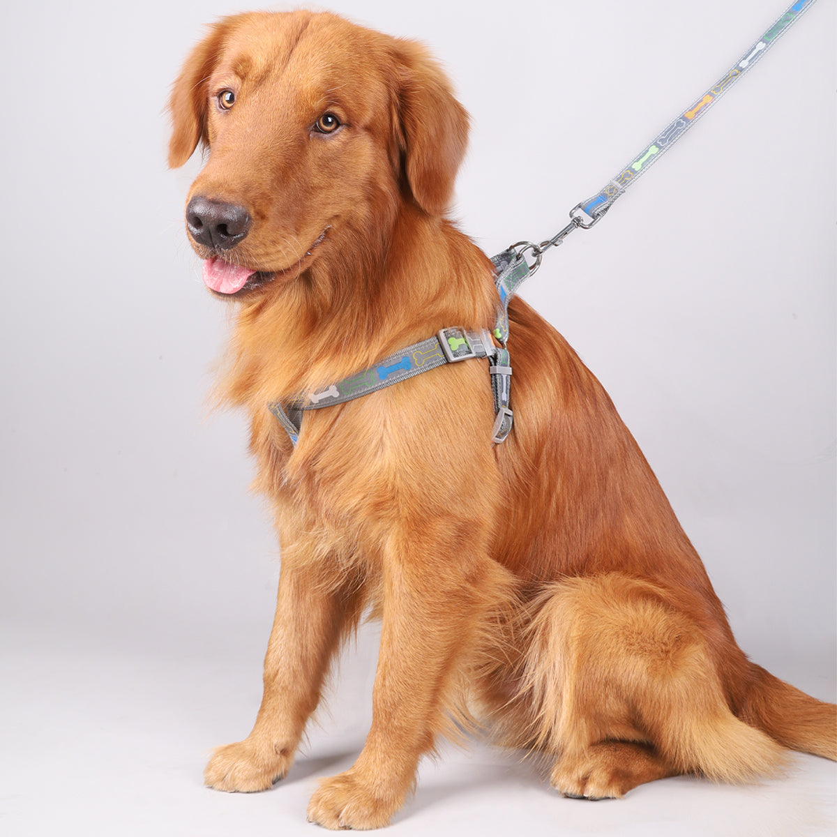 Nylon Adjustable Dog  Walking Strap Harness and Leash Set for Small and Medium Dogs - PeticaDeals