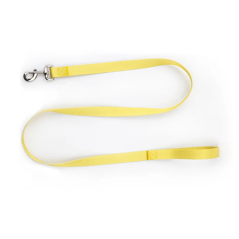 Nylon Adjustable Pet Collar Collar Traction - PeticaDeals