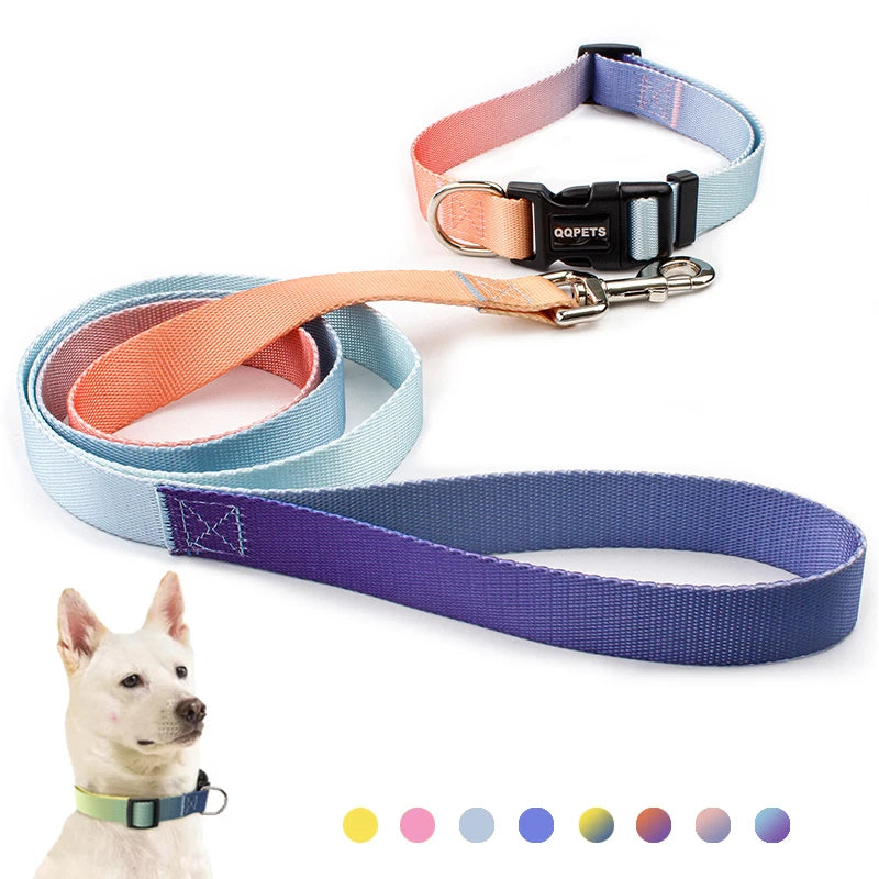 Nylon Adjustable Pet Collar Collar Traction - PeticaDeals