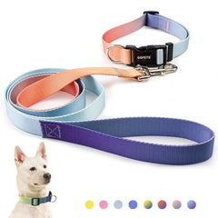Nylon Adjustable Pet Collar Collar Traction - PeticaDeals