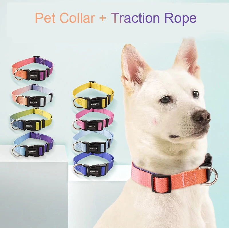 Nylon Adjustable Pet Collar Collar Traction - PeticaDeals