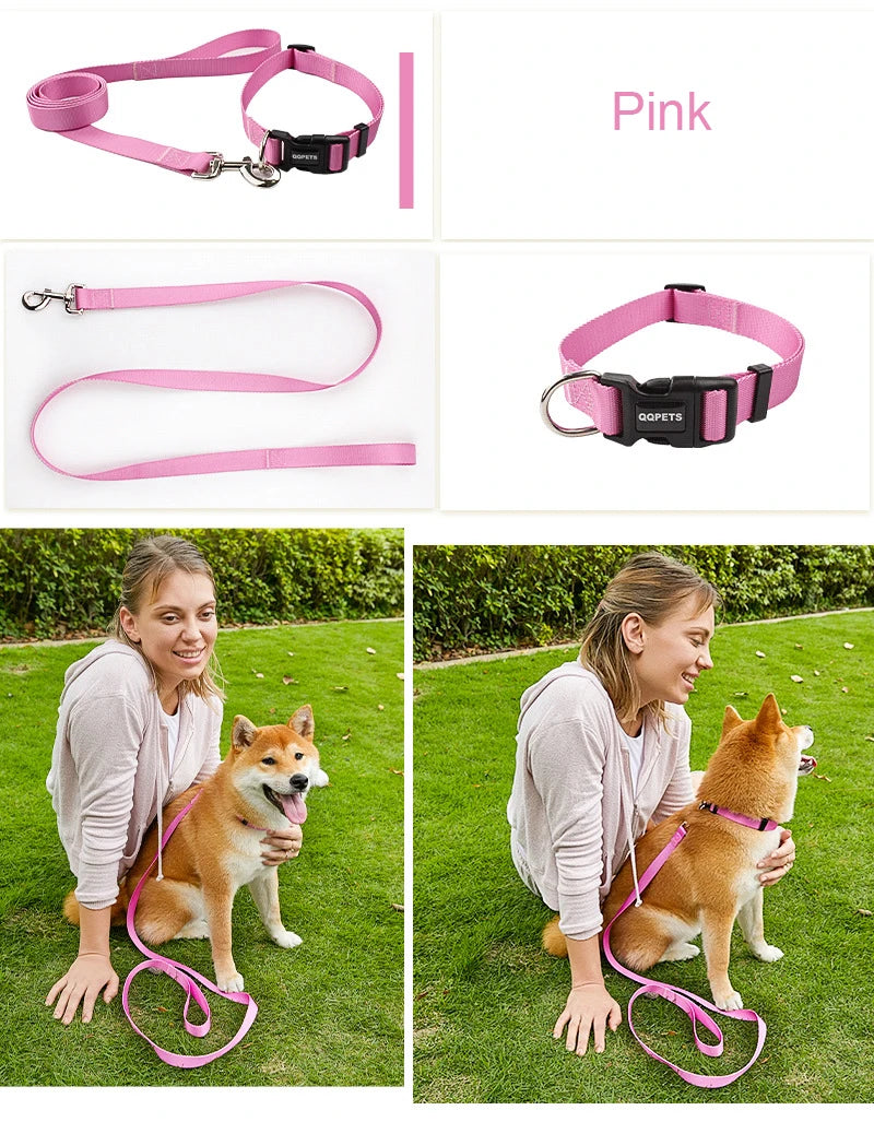 Nylon Adjustable Pet Collar Collar Traction - PeticaDeals