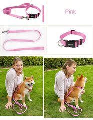 Nylon Adjustable Pet Collar Collar Traction - PeticaDeals