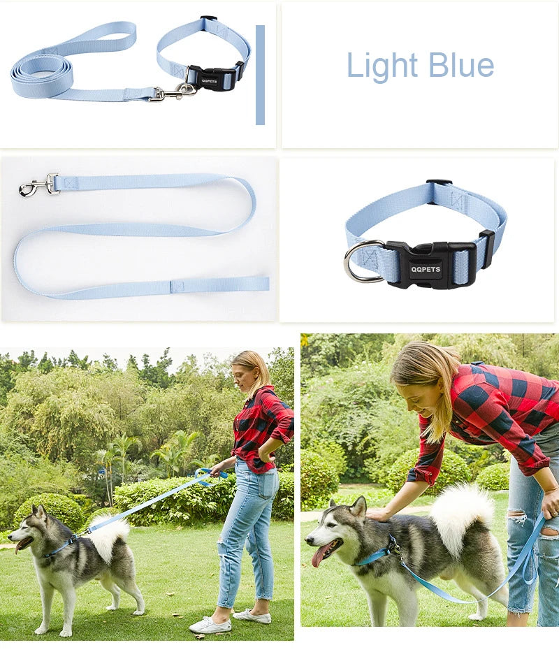 Nylon Adjustable Pet Collar Collar Traction - PeticaDeals