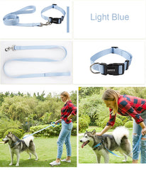 Nylon Adjustable Pet Collar Collar Traction - PeticaDeals