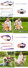Nylon Adjustable Pet Collar Collar Traction - PeticaDeals