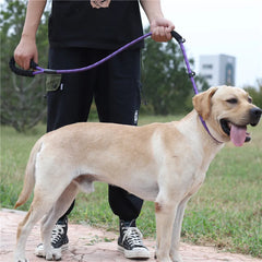 Nylon Basic Leashes Dog Walking 1.6M Reflective Rope Dog Lead Leash - PeticaDeals