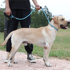Nylon Basic Leashes Dog Walking 1.6M Reflective Rope Dog Lead Leash - PeticaDeals