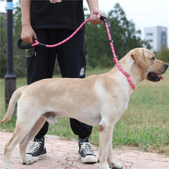 Nylon Basic Leashes Dog Walking 1.6M Reflective Rope Dog Lead Leash - PeticaDeals