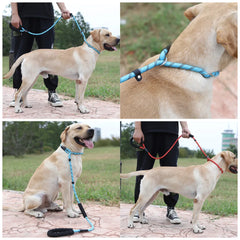 Nylon Basic Leashes Dog Walking 1.6M Reflective Rope Dog Lead Leash - PeticaDeals