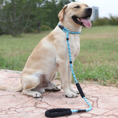 Nylon Basic Leashes Dog Walking 1.6M Reflective Rope Dog Lead Leash - PeticaDeals