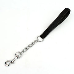 Nylon Dog Chain Leash Stainless Steel - PeticaDeals