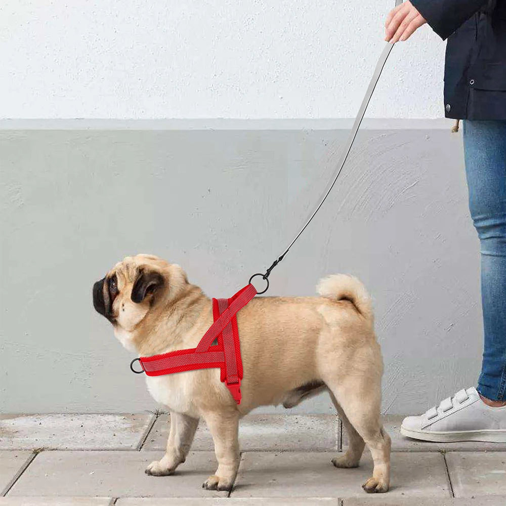 Nylon Dog Harness No Pull - PeticaDeals