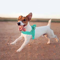 Nylon Dog Harness No Pull - PeticaDeals