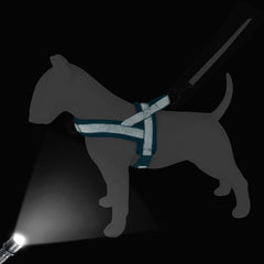 Nylon Dog Harness No Pull - PeticaDeals