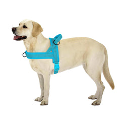 Nylon Dog Harness No Pull - PeticaDeals