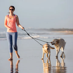 Nylon Dog Leash Durable for three Dogs Double Leashes for small and big Dogs - PeticaDeals