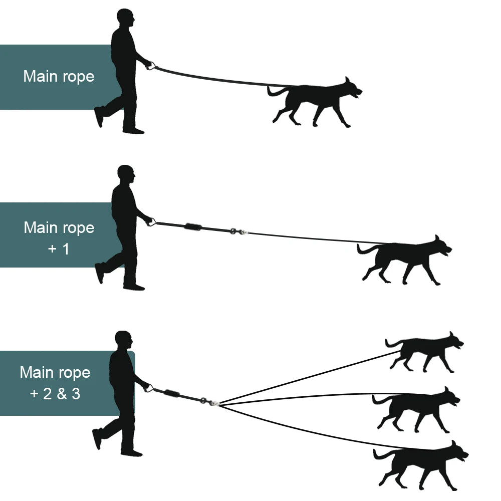 Nylon Dog Leash Durable for three Dogs Double Leashes for small and big Dogs - PeticaDeals