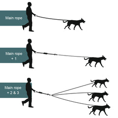 Nylon Dog Leash Durable for three Dogs Double Leashes for small and big Dogs - PeticaDeals