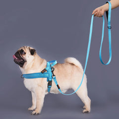 Nylon Dog Leash Soft Reflective Lead For Small Medium Large Dogs - PeticaDeals