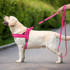 Nylon Dog Leash Soft Reflective Lead For Small Medium Large Dogs - PeticaDeals
