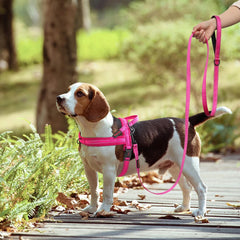 Nylon Dog Leash Soft Reflective Lead For Small Medium Large Dogs - PeticaDeals