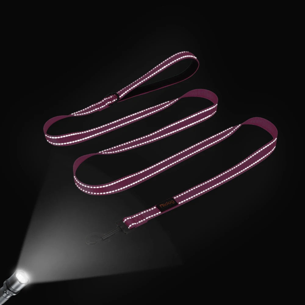 Nylon Dog Leash Soft Reflective Lead For Small Medium Large Dogs - PeticaDeals