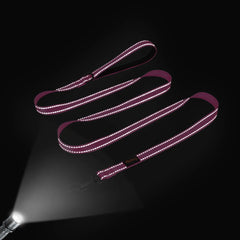 Nylon Dog Leash Soft Reflective Lead For Small Medium Large Dogs - PeticaDeals
