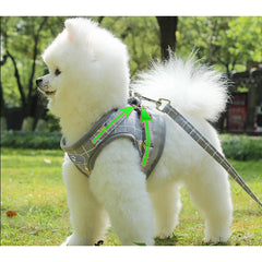 Nylon Mesh Harness For Pet Reflective - PeticaDeals