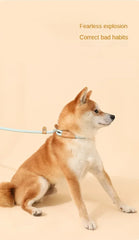 Nylon Pet Harness Durable Adjustable Collar - PeticaDeals