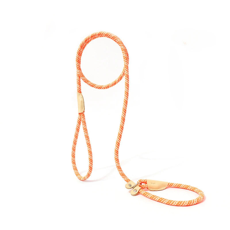 Nylon Pet Harness Durable Adjustable Collar - PeticaDeals