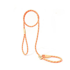 Nylon Pet Harness Durable Adjustable Collar - PeticaDeals