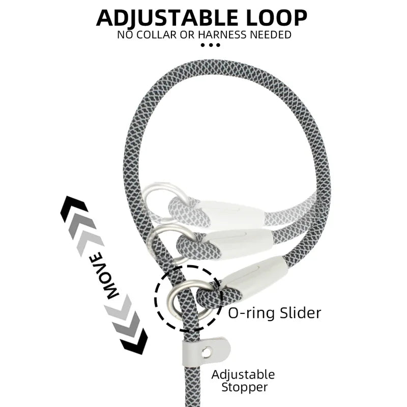 Nylon Pet Harness Durable Adjustable Collar - PeticaDeals