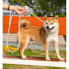 Nylon Pet Harness Durable Adjustable Collar - PeticaDeals