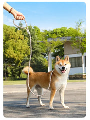 Nylon Pet Harness Durable Adjustable Collar - PeticaDeals