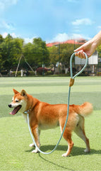 Nylon Pet Harness Durable Adjustable Collar - PeticaDeals