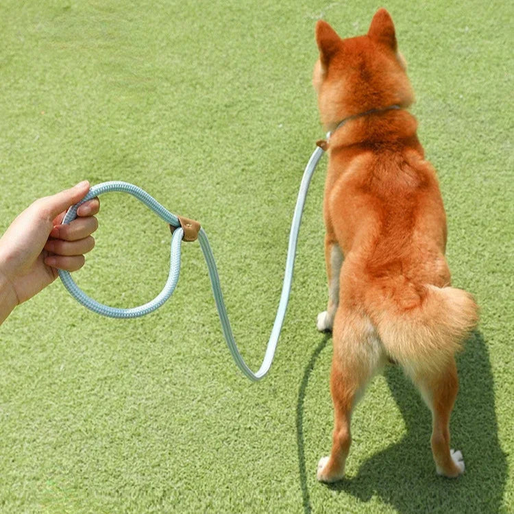 Nylon Pet Harness Durable Adjustable Collar - PeticaDeals