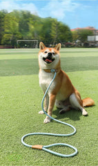 Nylon Pet Harness Durable Adjustable Collar - PeticaDeals