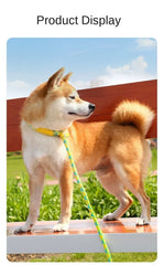 Nylon Pet Harness Durable Adjustable Collar - PeticaDeals