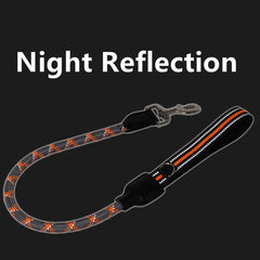 One Step Dog Leash Reflective Leashes for Dog Training - PeticaDeals