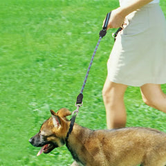 One Step Dog Leash Reflective Leashes for Dog Training - PeticaDeals