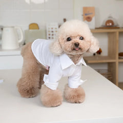Pet Autumn Winter Striped Patchwork Denim Straps Pet Pants - PeticaDeals