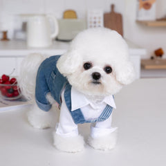 Pet Autumn Winter Striped Patchwork Denim Straps Pet Pants - PeticaDeals